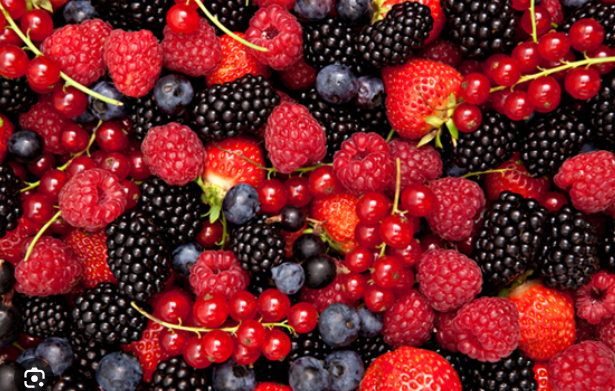 Seeds and Berries